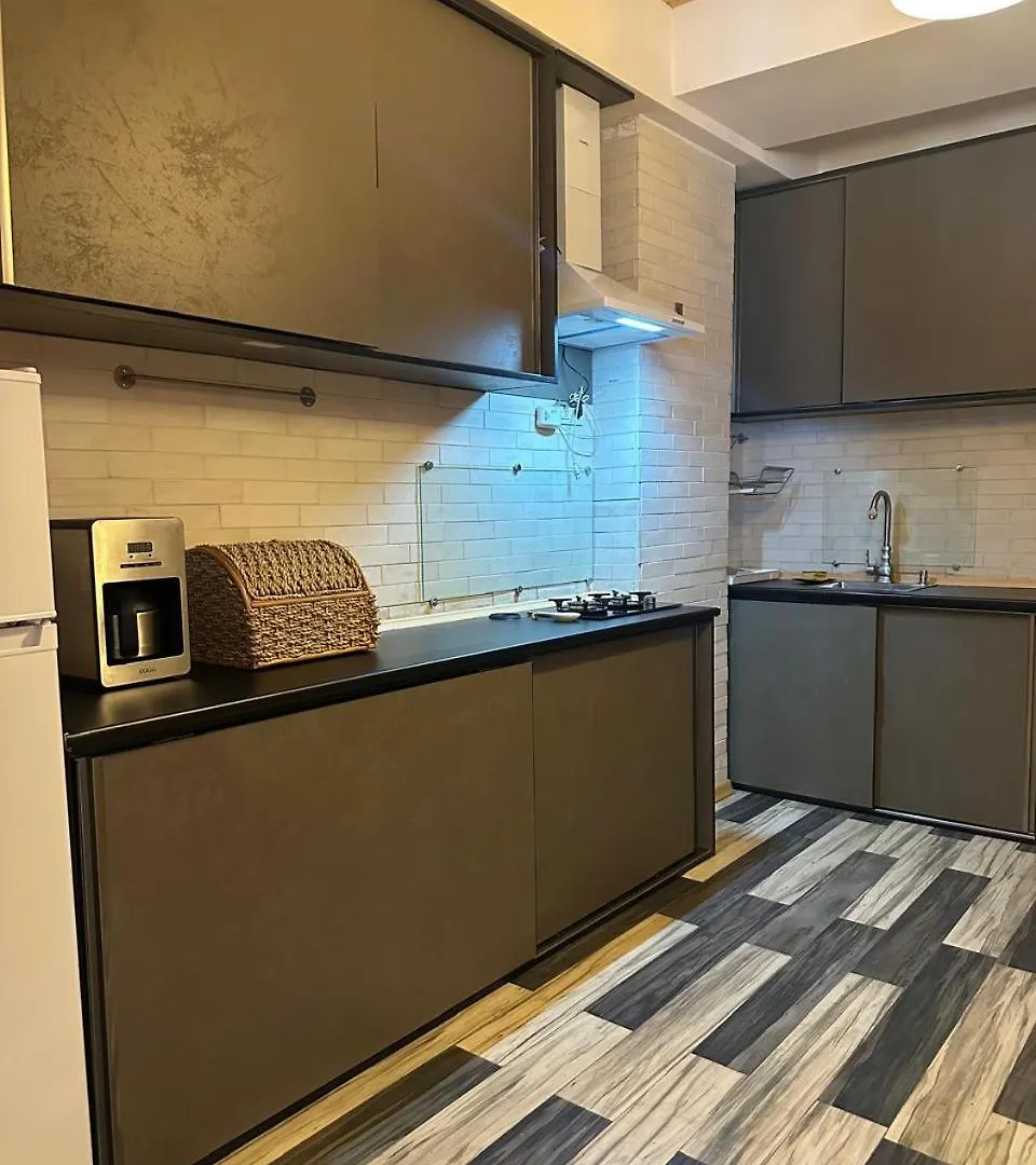 Te Apartment 트빌리시 조지아